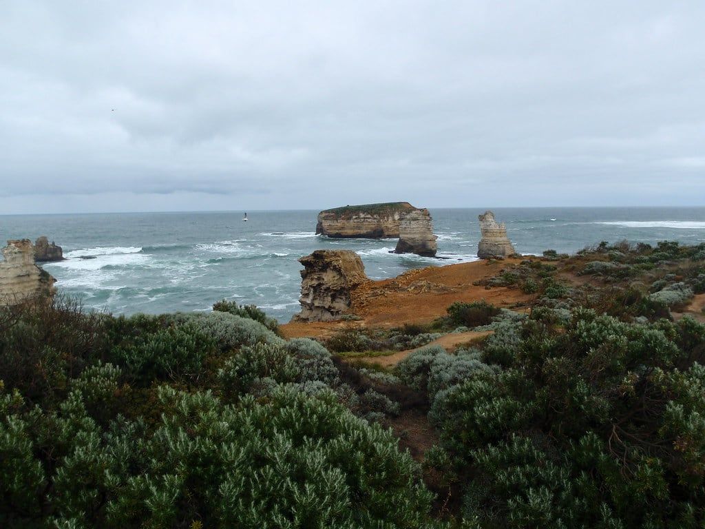 Low coastal plants above a quiet rock shelf and blue-grey ocean