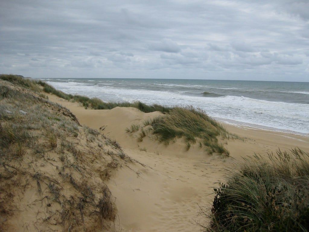 Wind-shaped patterns across pale coastal sand dunes in Australia